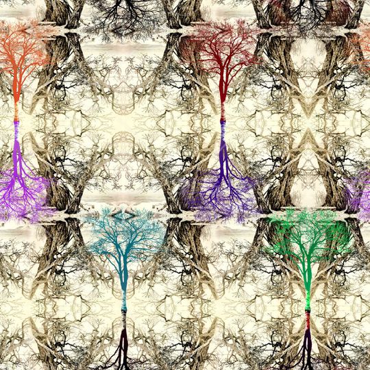 国画印花华亿平台图片