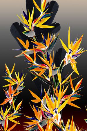 定位印花华亿平台图片