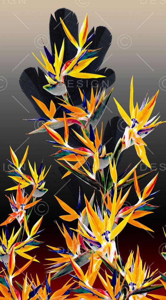 定位印花华亿平台图片