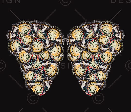 蝴蝶印花华亿平台图片