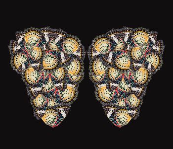 616296-蝴蝶--黑底