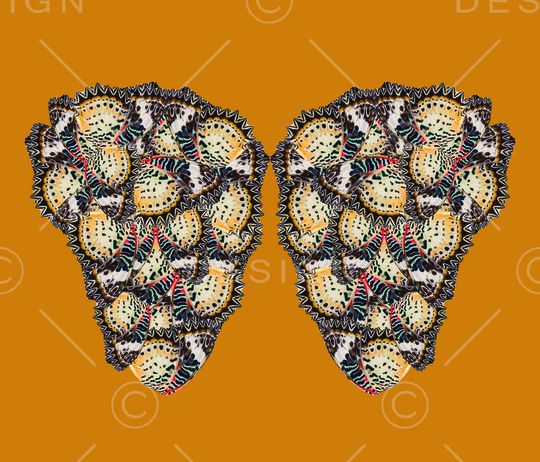 蝴蝶印花华亿平台图片