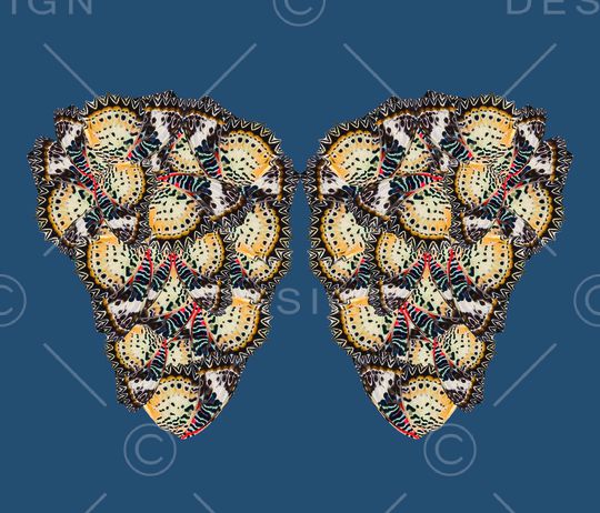 蝴蝶印花华亿平台图片