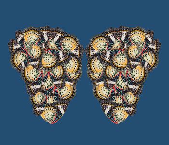 616301-蝴蝶--蓝底