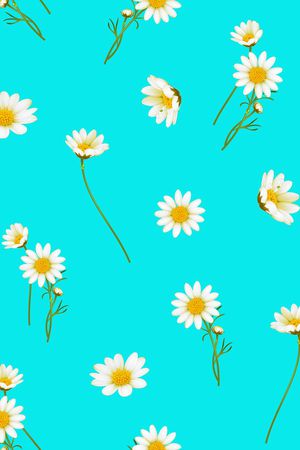 女装印花华亿平台图片