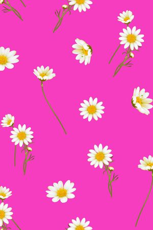 女装印花华亿平台图片