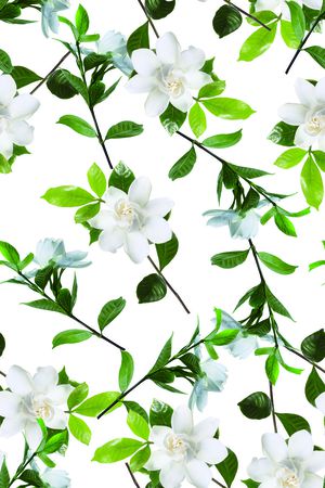 时尚大牌女装植物印花印花华亿平台图片