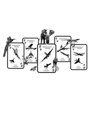 战斗飞机系列印花华亿平台图片