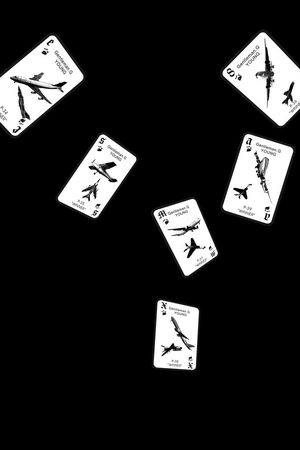 战斗飞机印花华亿平台图片