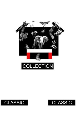 华伦天奴VALENTINO风格印花华亿平台图片