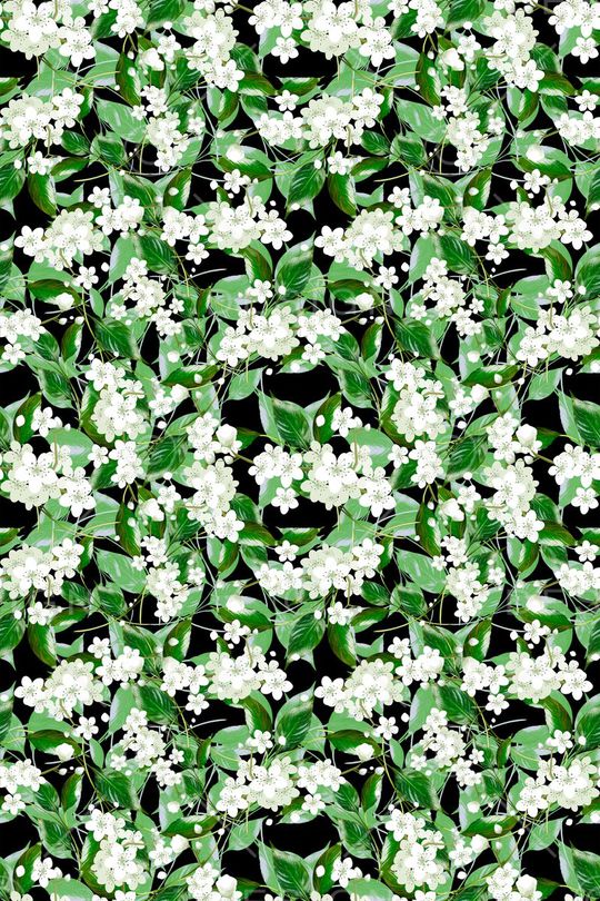 植物花卉印花华亿平台图片