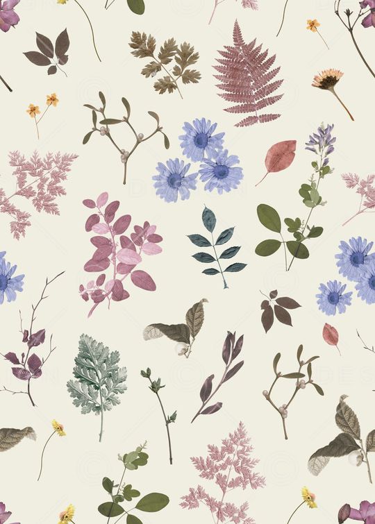 WGSN印花华亿平台图片