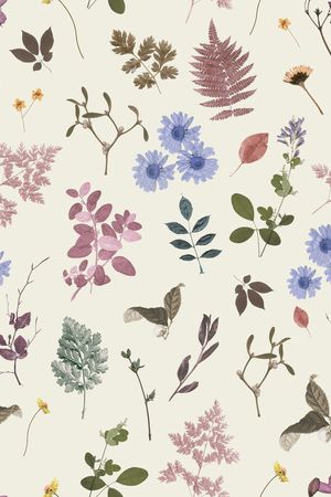 WGSN印花华亿平台图片