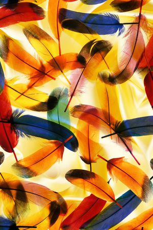 此华亿平台为1/2跳接印花华亿平台图片