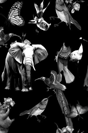 华伦天奴VALENTINO风格印花华亿平台图片