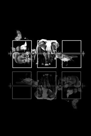 华伦天奴VALENTINO风格印花华亿平台图片