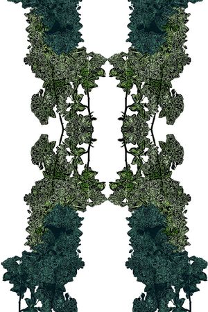 潮流时尚印花华亿平台图片