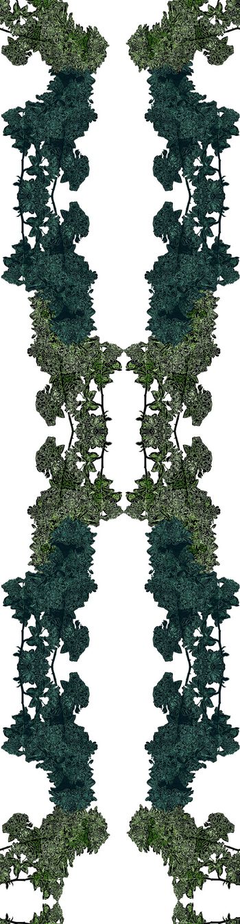 616785-未标题-1-恢复的7aa