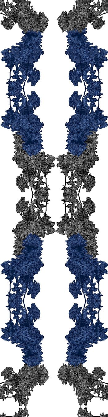 616787-未标题-1-恢复的7a