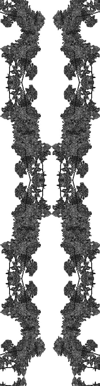 616788-未标题-1-恢复的7