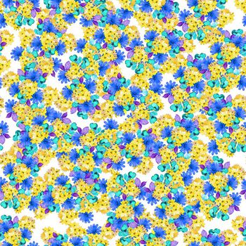 616795-太阳花兰花兰