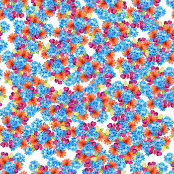 616796-太阳花兰花紫