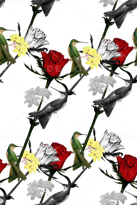 天堂鸟印花华亿平台图片