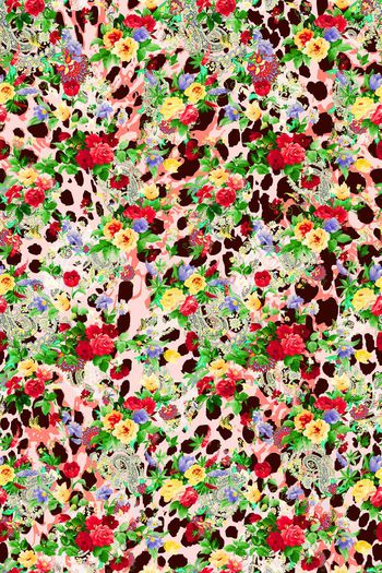 616830-豹纹花卉 火腿珠宝花纹