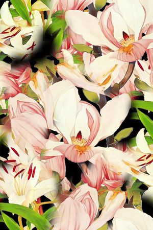 玉兰花印花华亿平台图片