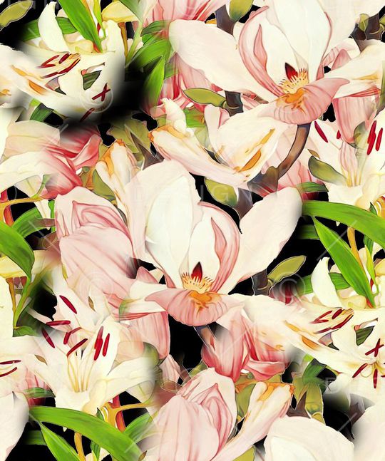 玉兰花印花华亿平台图片