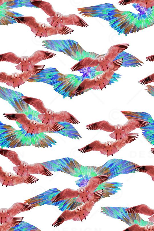 鸟印花华亿平台图片