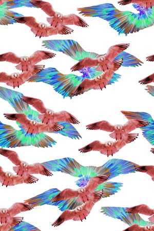 鸟印花华亿平台图片