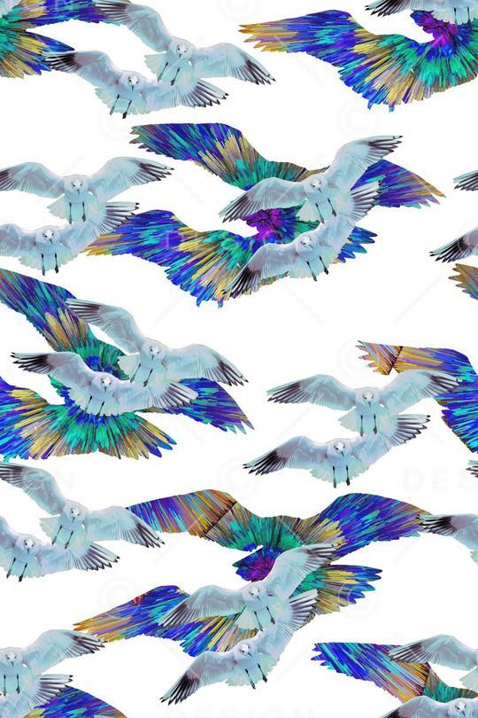 鸟印花华亿平台图片