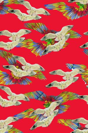 鸟印花华亿平台图片