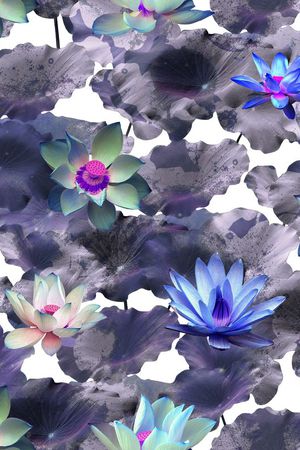 荷花印花华亿平台图片