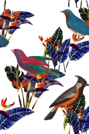 树叶印花华亿平台图片