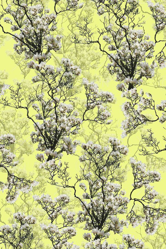 女装印花华亿平台图片