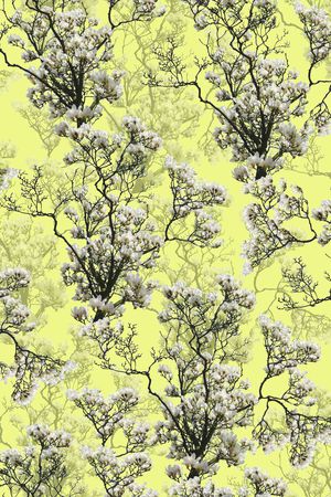 女装印花华亿平台图片