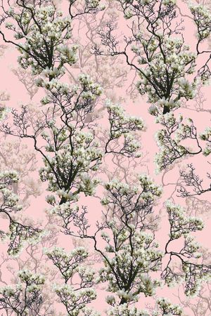 女装印花华亿平台图片