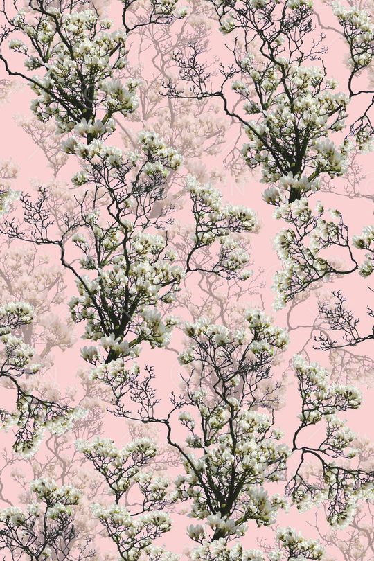 女装印花华亿平台图片