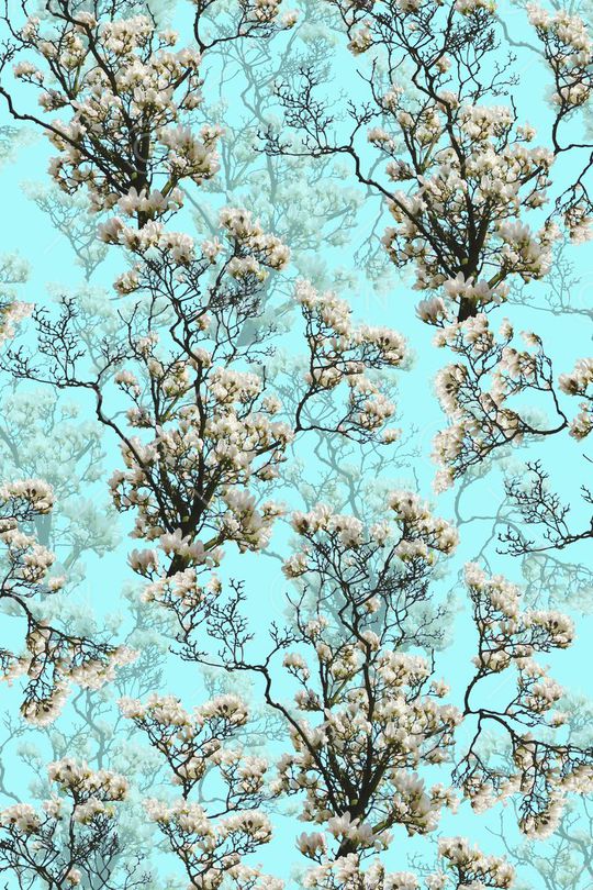 女装印花华亿平台图片