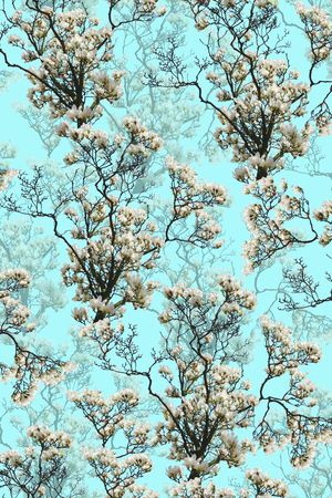 女装印花华亿平台图片