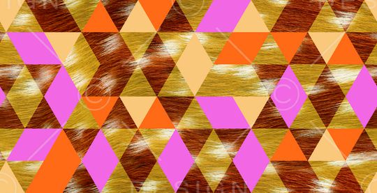 动物印花华亿平台图片