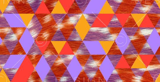 动物印花华亿平台图片