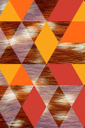 动物印花华亿平台图片