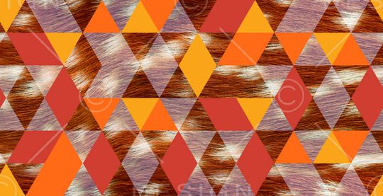 动物印花华亿平台图片