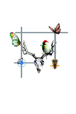 大牌印花华亿平台图片