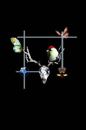 大牌印花华亿平台图片