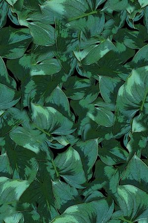 创意印花华亿平台图片