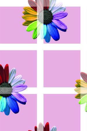 花朵印花华亿平台图片